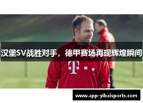 汉堡SV战胜对手，德甲赛场再现辉煌瞬间
